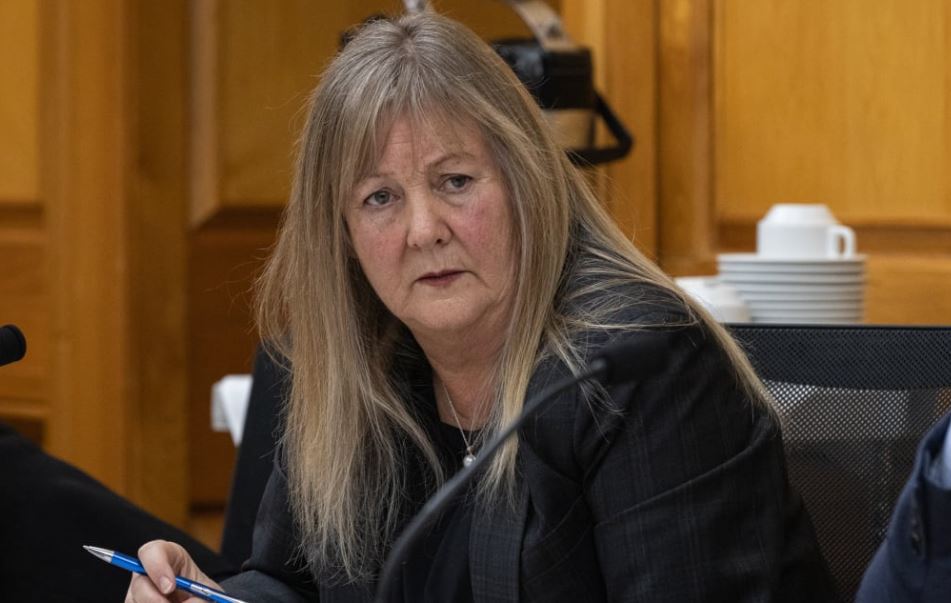Disability Issues Minister Penny Simmonds said support funding had been spent on frivolous items such as massages or pedicures for carers. Photo / Phil Smith