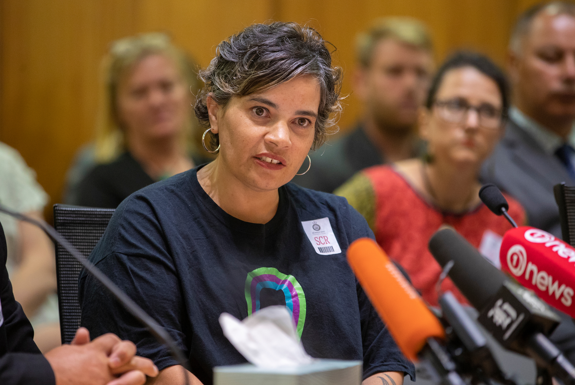 Wiki Mulholland during her appearance at the Health select committee at Parliament, Wellington. Photo / File