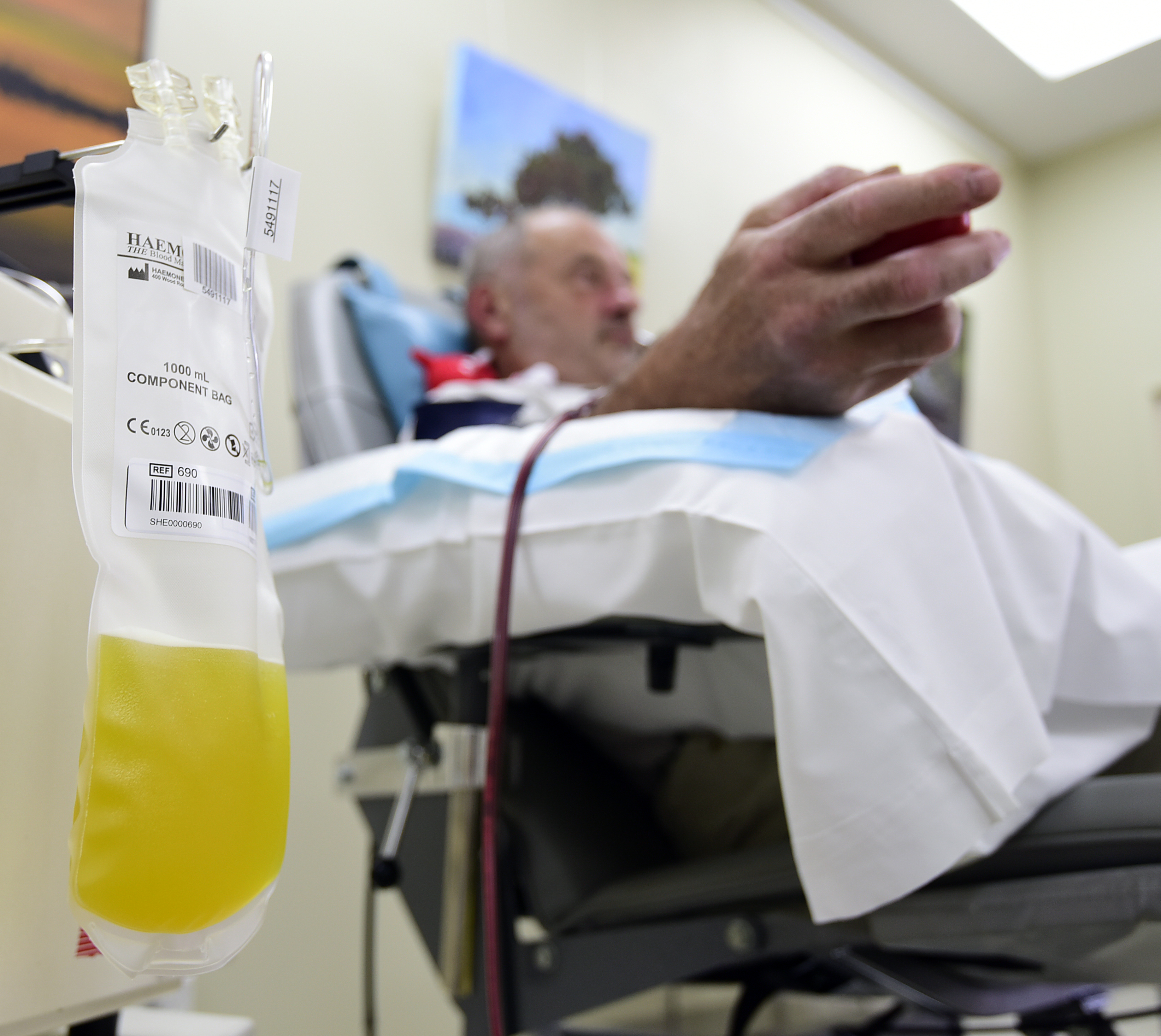 Plasma Donors Needed In Tauranga Nz Herald