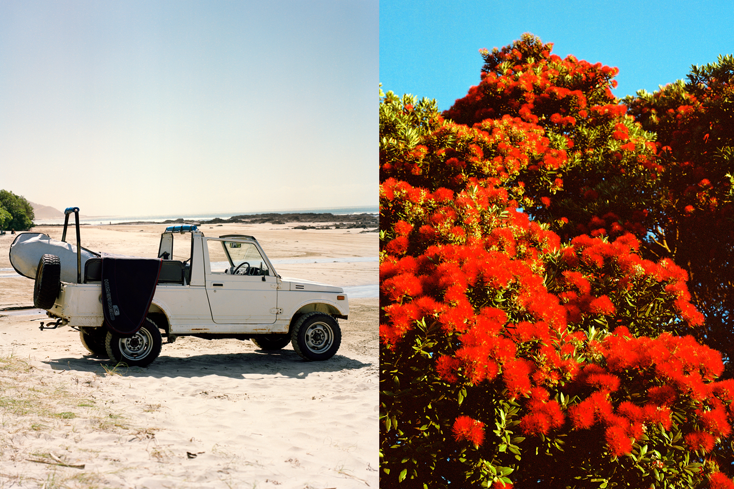 Scenes of a typical New Zealand summer. Photos / Derek Henderson