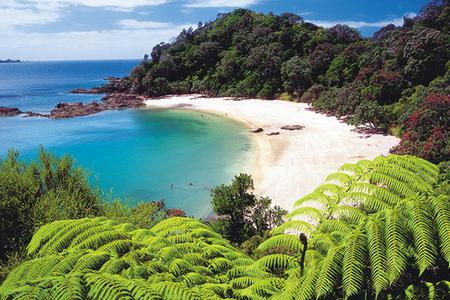 Tūtūkākā Coast in Northland boasts numerous beautiful beaches with soft white sand and calm blue seas, including the secluded Whale Bay. Photo / Supplied