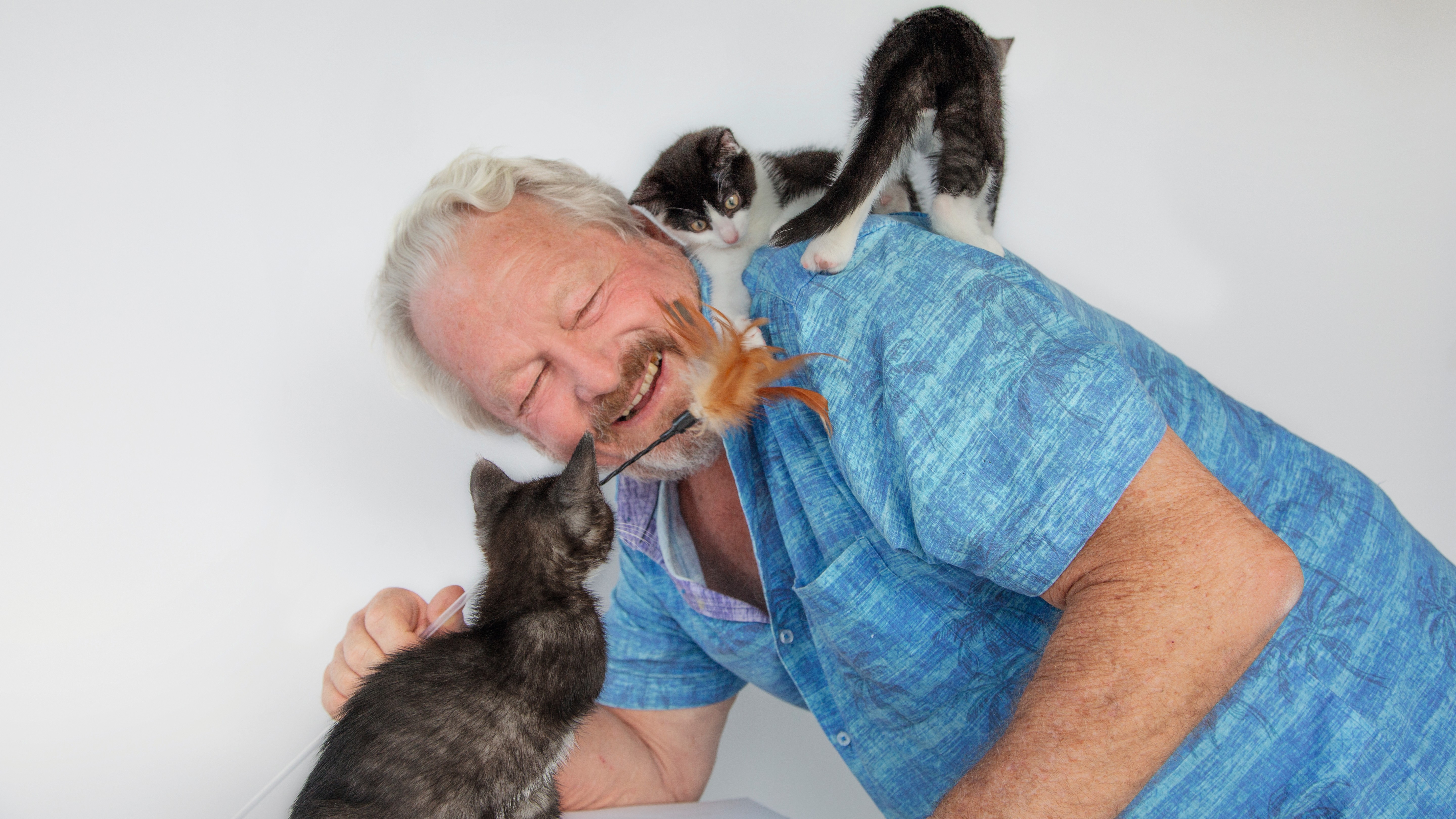 Mark Vette, author of Cat Zen: A Comprehensive Guide to Raising Gentle and Resilient Cats.