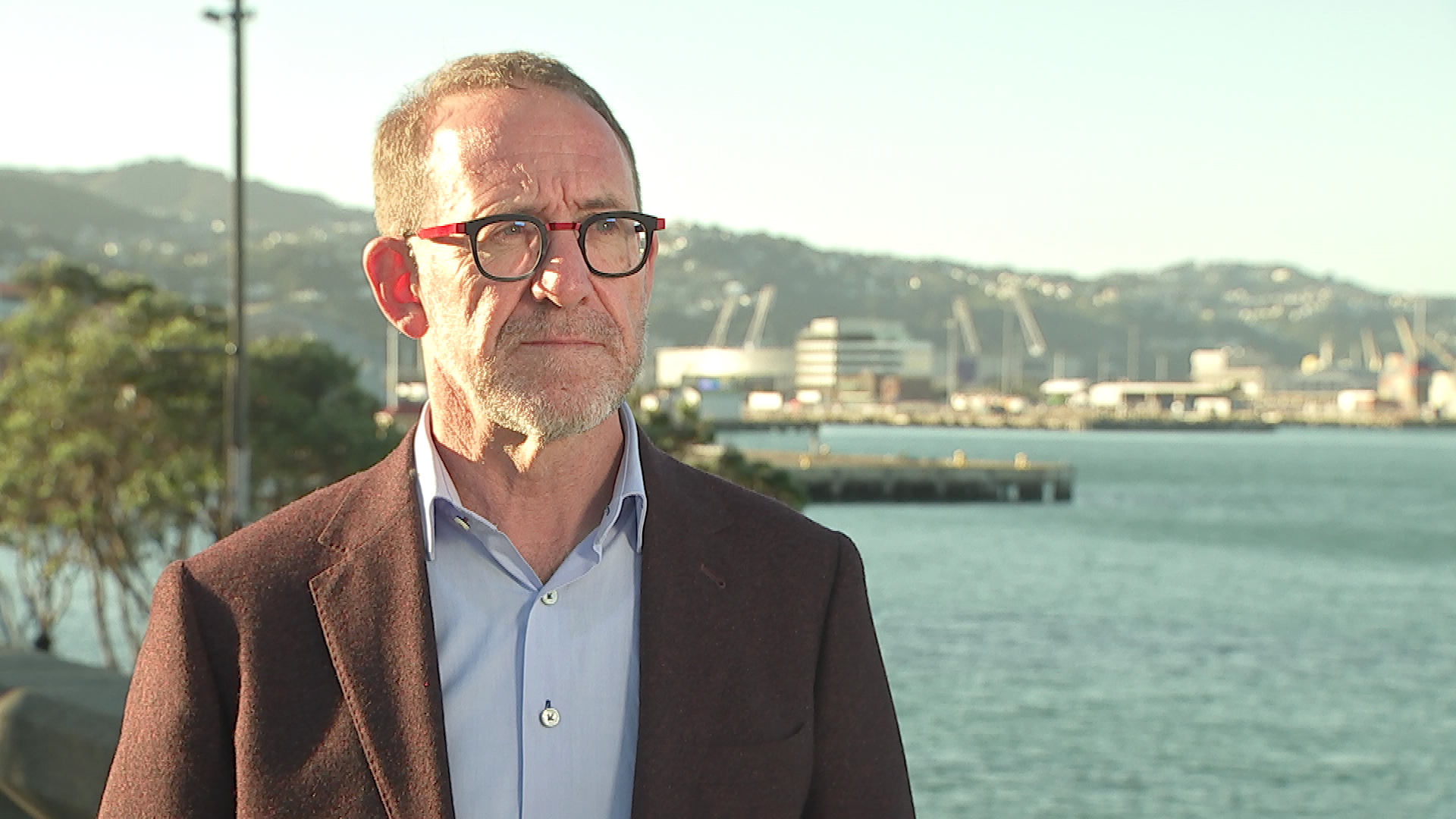 Wellington Mayor Andrew Little.