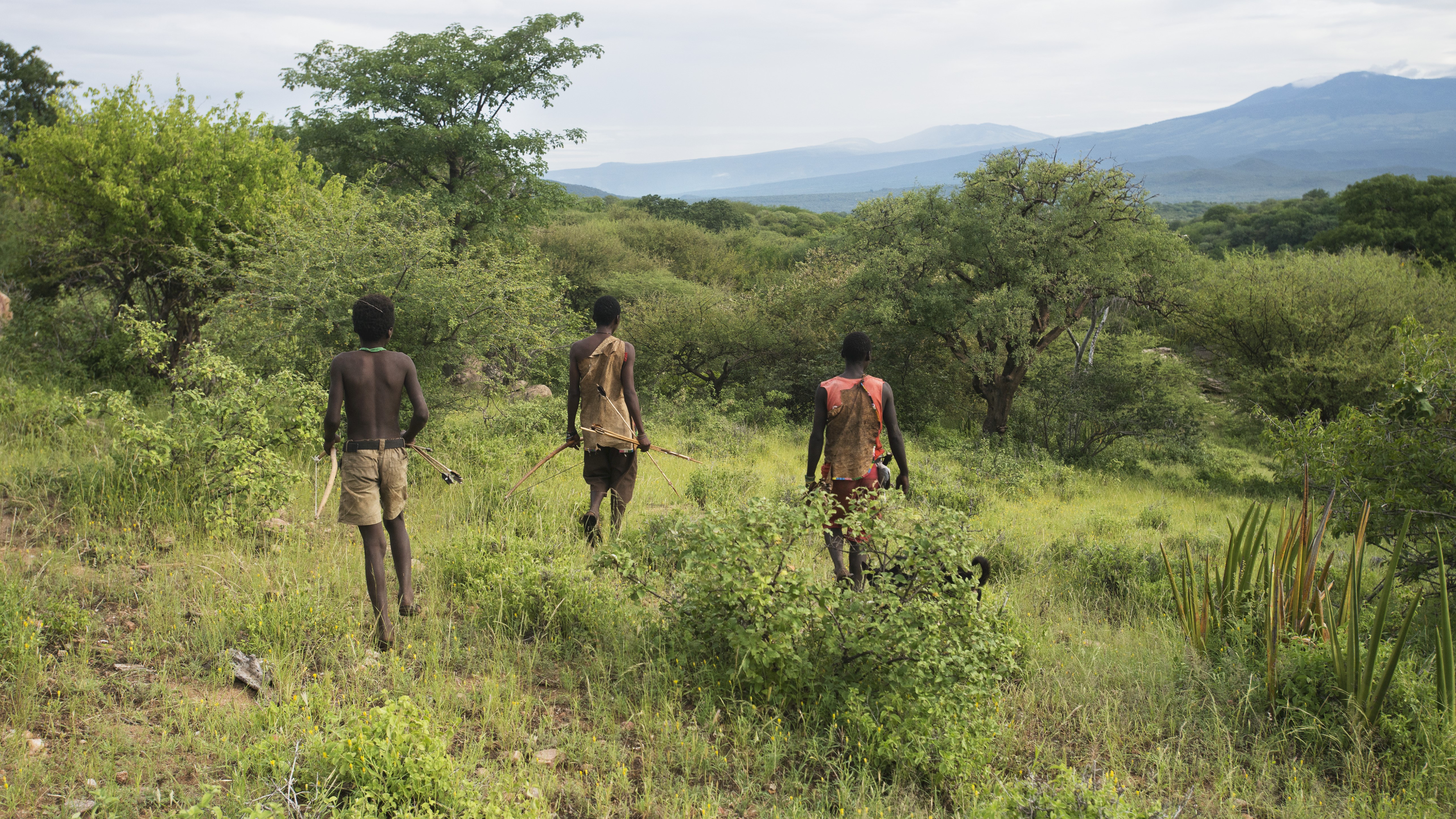 The Hadzabe people of Tanzania know how to hunt - and how to chew. 