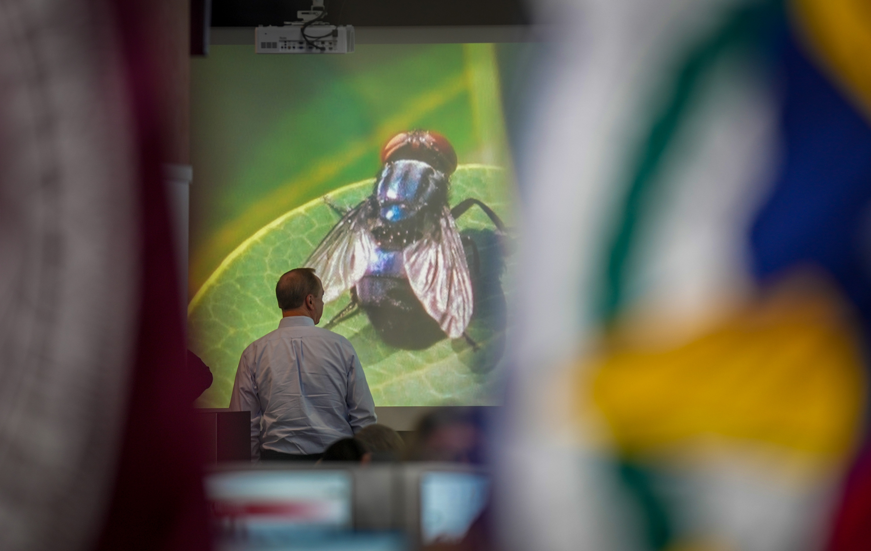 An official with Texas A&M AgriLife Extension works at the State Operations Center during Texas' response to the New World Screwworm in Austin, Texas on Friday, June 5, 2026.