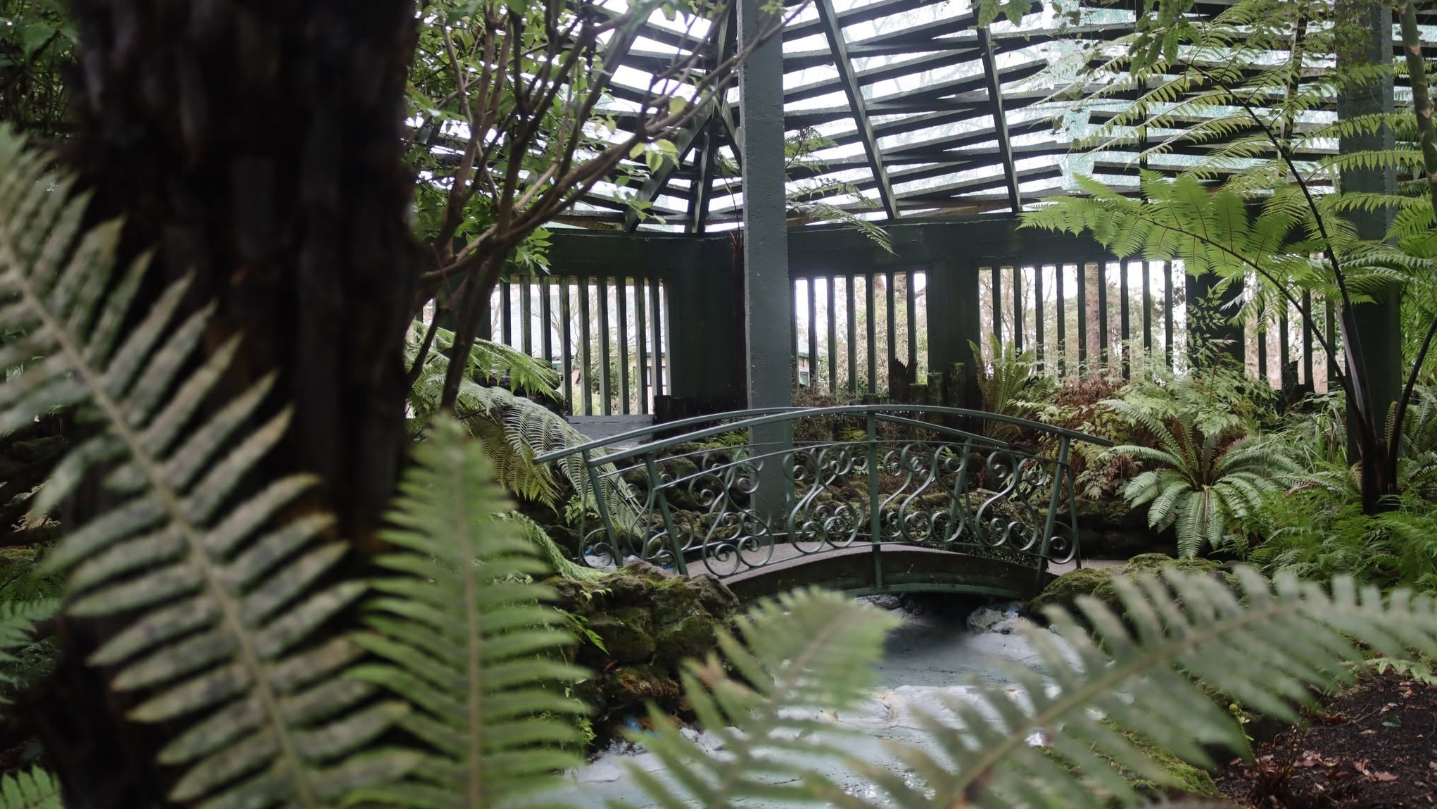 The fernery at Queen Elizabeth Park in Masterton closed on Wednesday due to people pooing inside it.