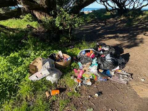 Former Gisborne Councillor Pat Seymour is frustrated with illegal rubbish dumping on Mākarori Bea