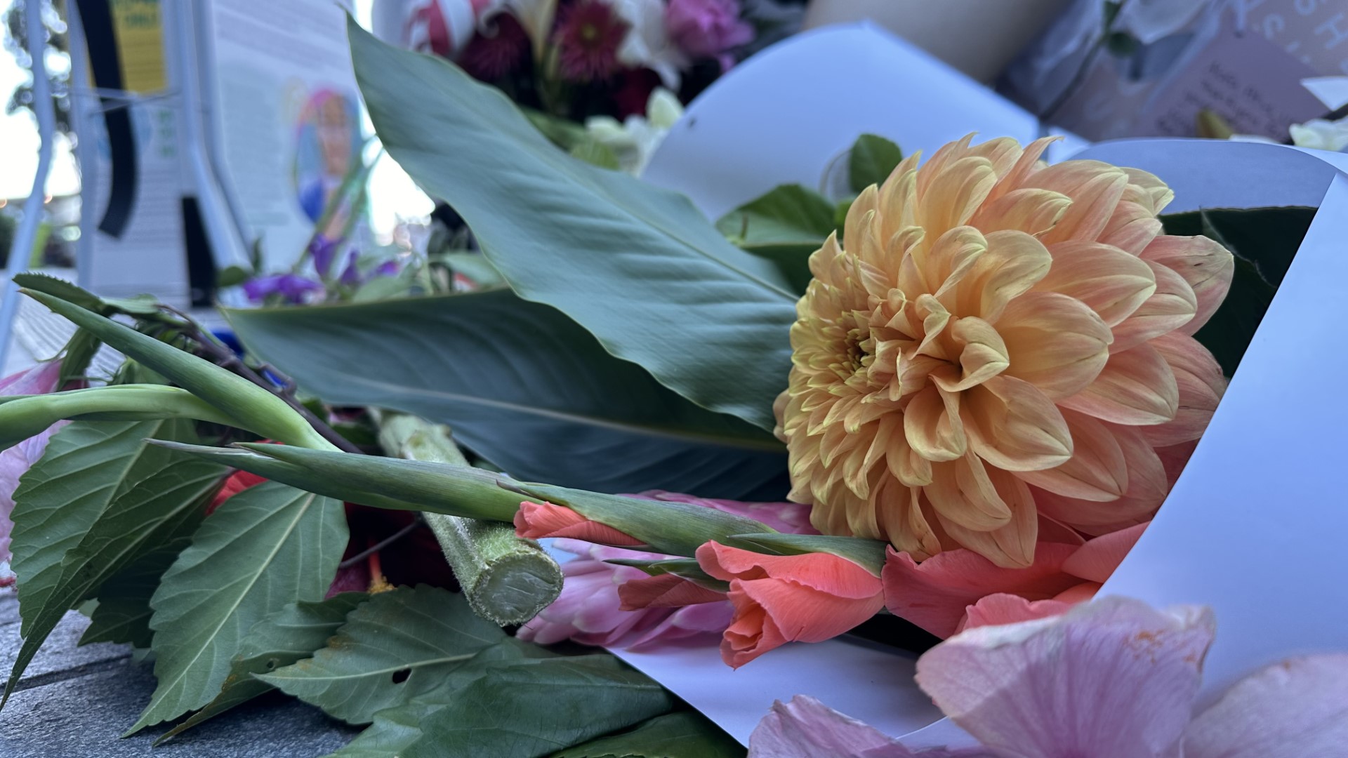 Flowers have been laid in tribute to Efeso Collins in Auckland's Britomart today. 