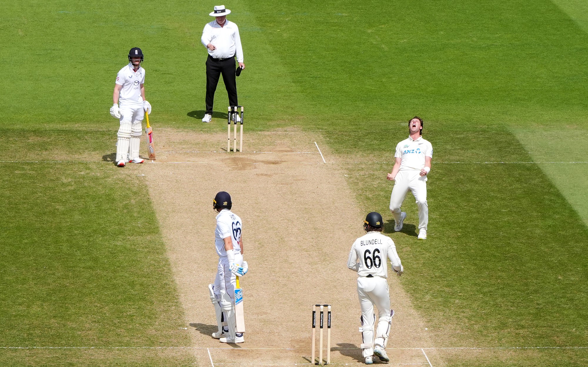 Matt Henry celebrates the wicket of Joe Root on day five of New Zealand's win over England at The Oval.