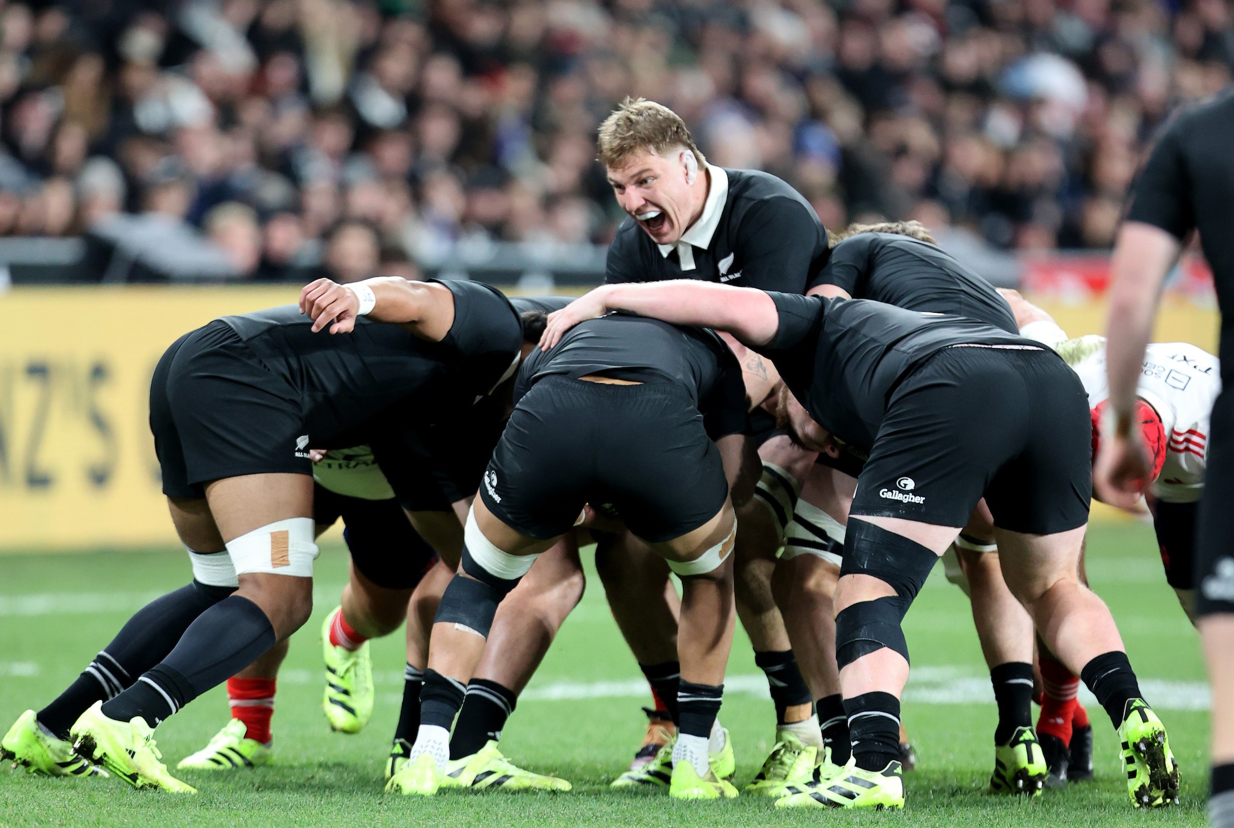 Fabian Holland urges his All Blacks pack on during his Test debut in Dunedin.