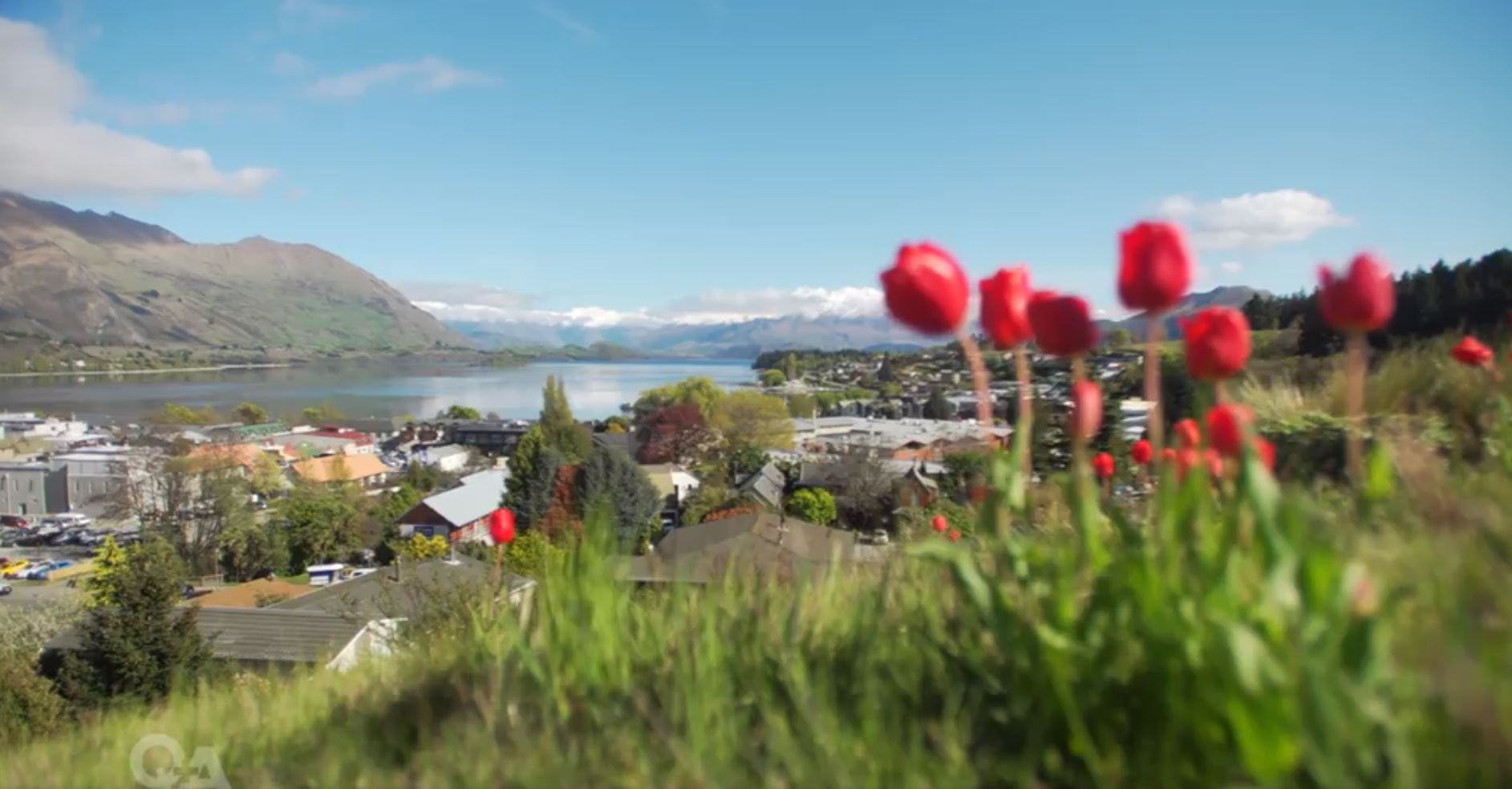 Queenstown's renaissance helped by influx of tech workers