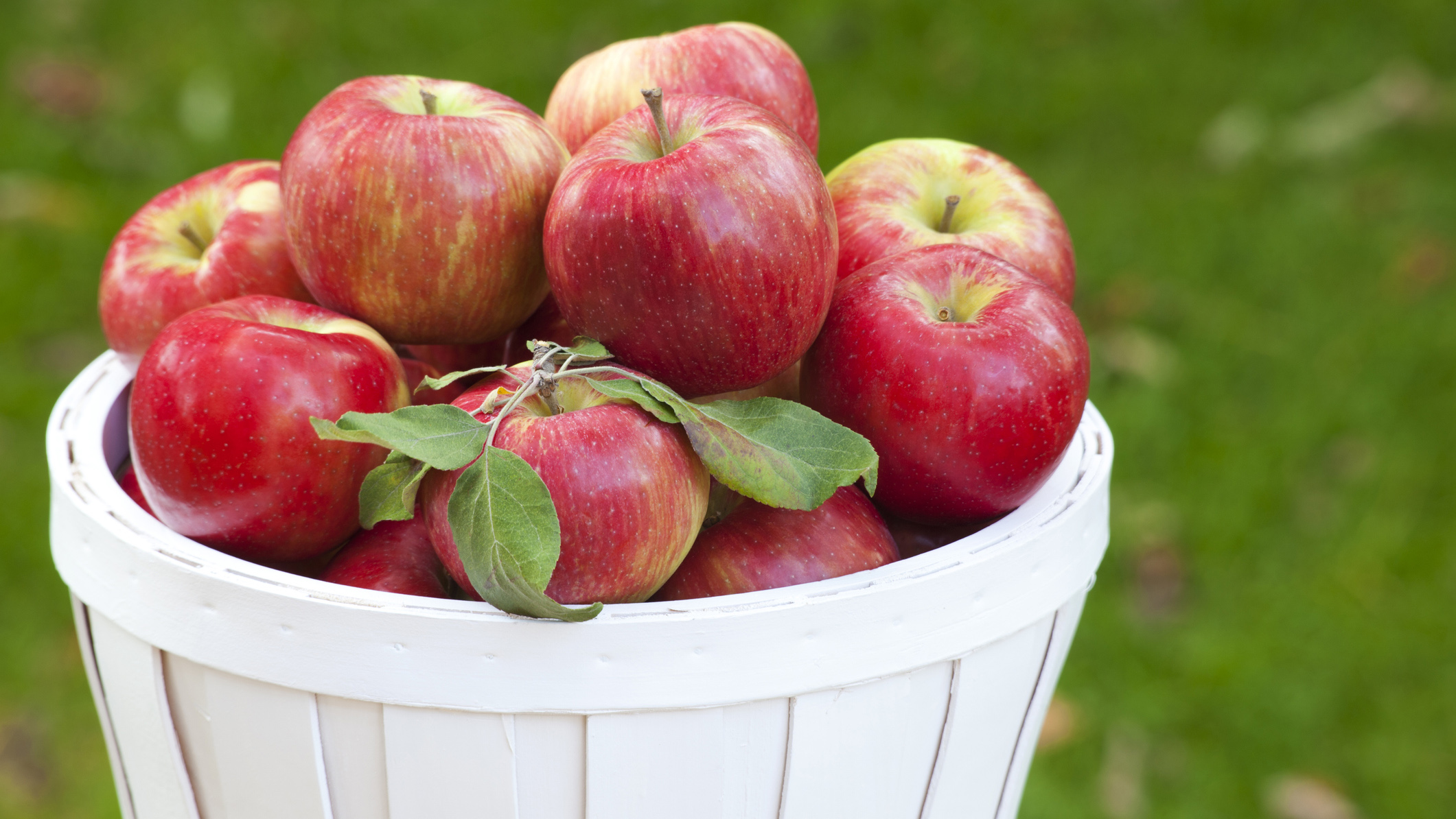 Apples should ideally be stored in the fridge’s veg drawer and washed before eating.