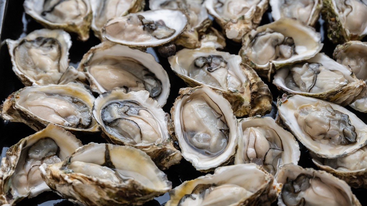 Warning not to collect, eat shellfish gathered from near Tolaga Bay