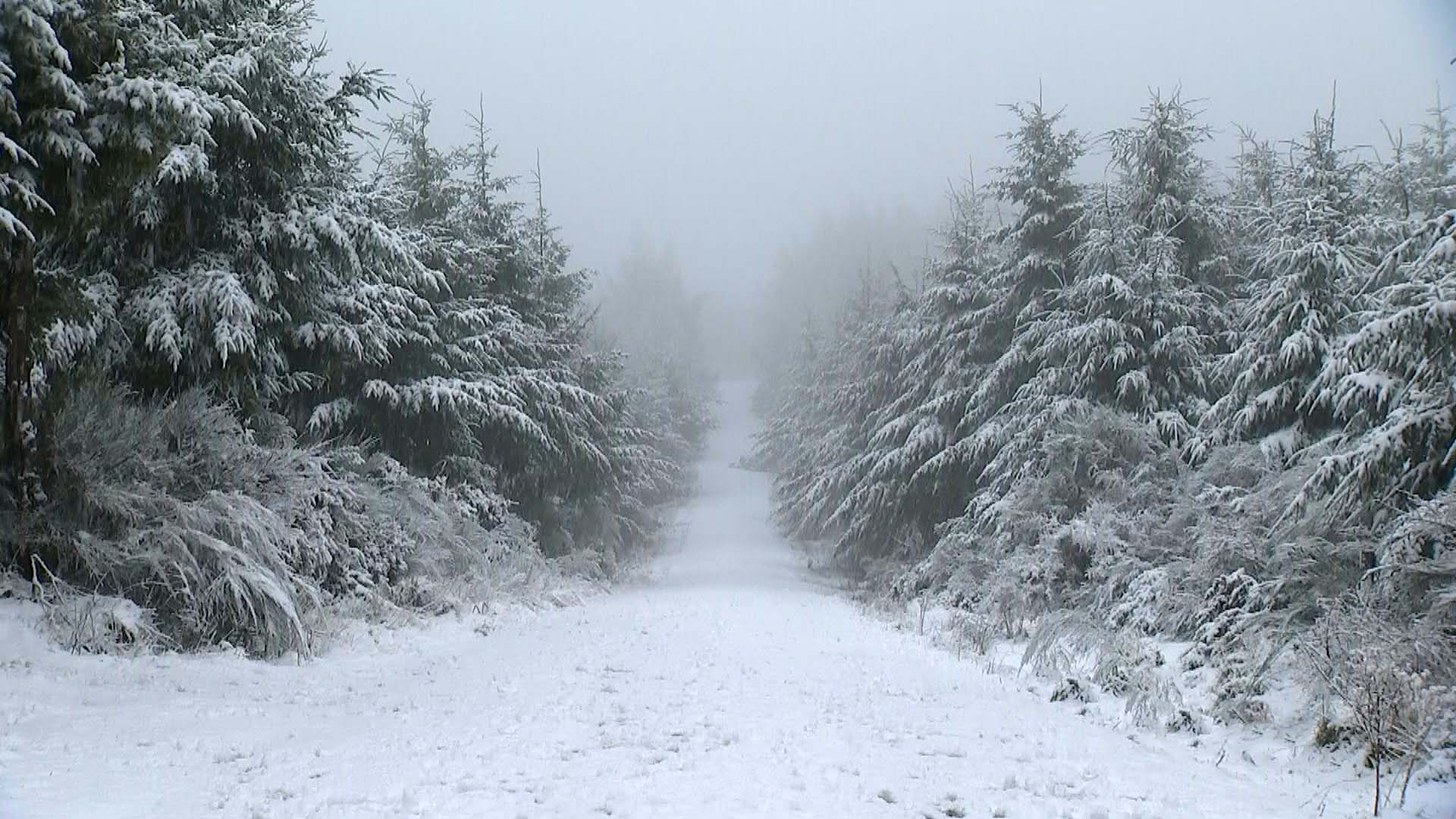 Snow disrupts roads in Canterbury and Otago.