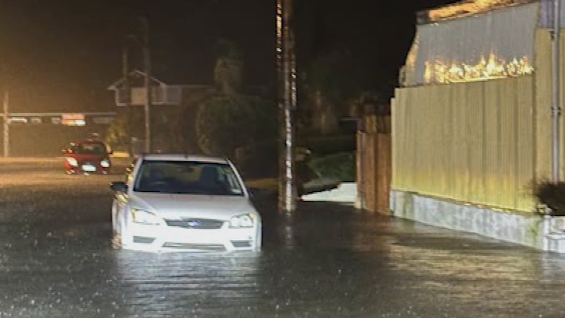 Image from Mosgiel's Tyne Street.