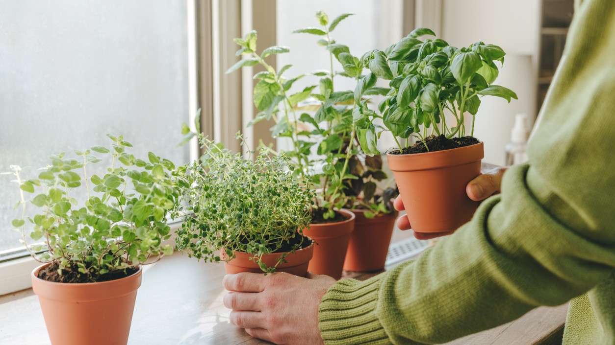 Getting in touch with the natural world has proven health benefits. 