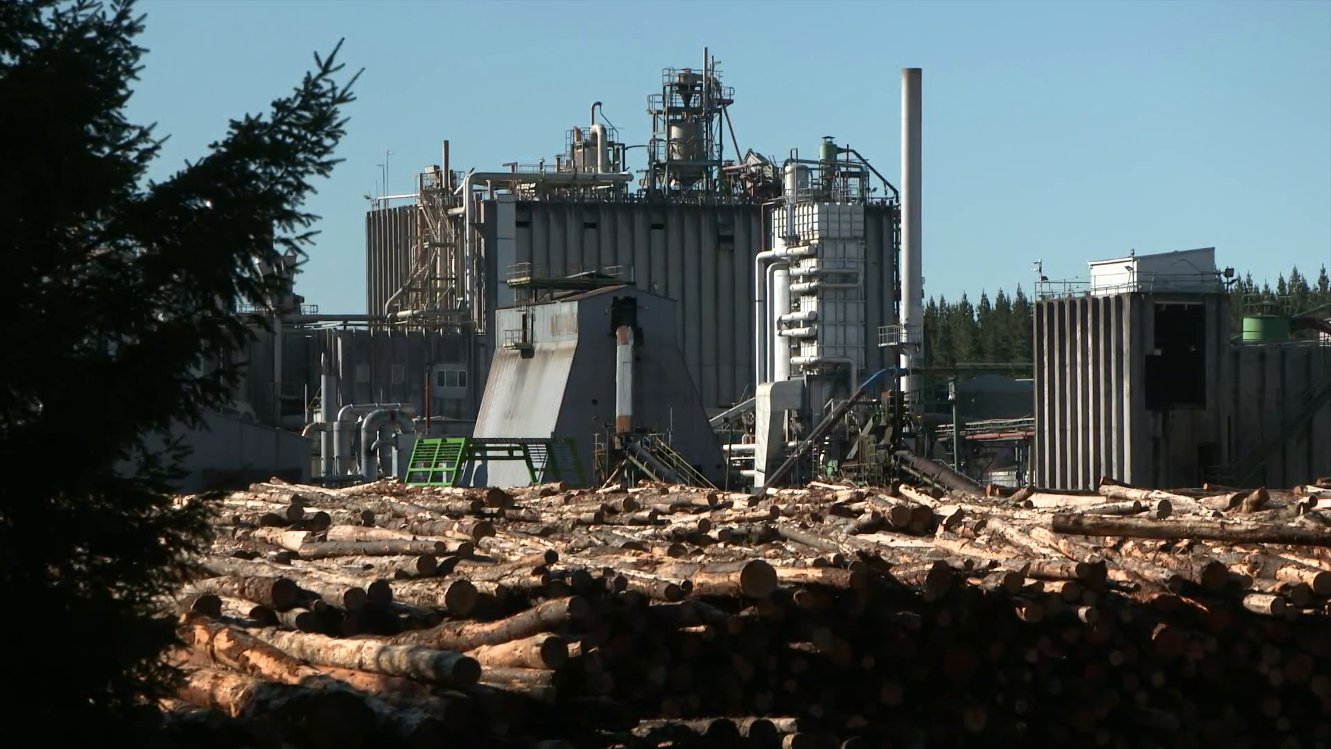 Winstone Pulp International may close the Karioi Pulpmill and the Tangiwai Sawmill.