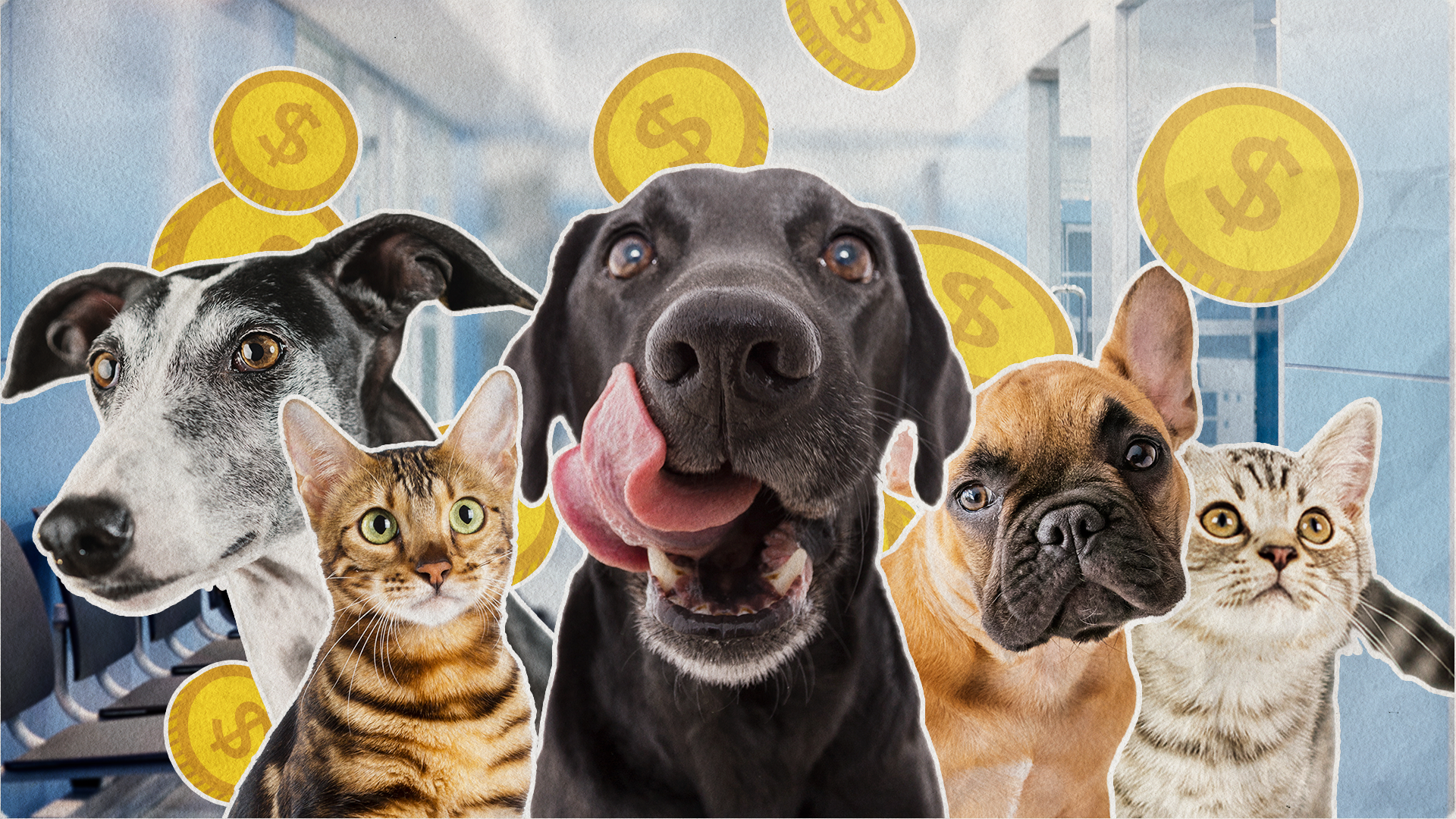 Pets can be pricey.