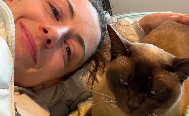 Norton the cat safe at home with his owner Renee Wadsworth