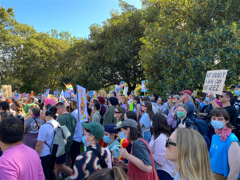 Counter-protestors gather at Alber Park.