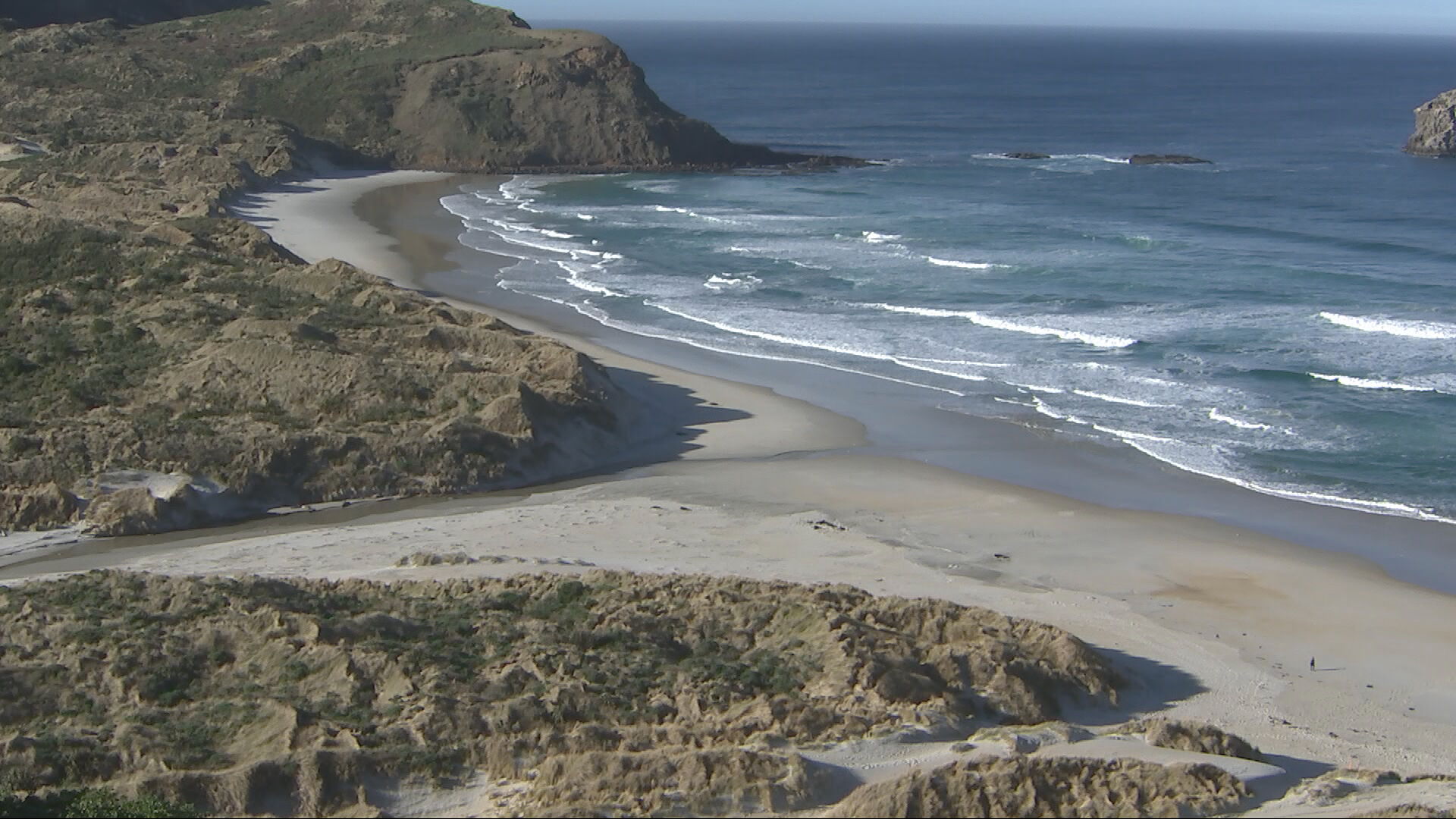 Ōrau, a popular stretch of Dunedin coastline with beaches and nearshore reefs.