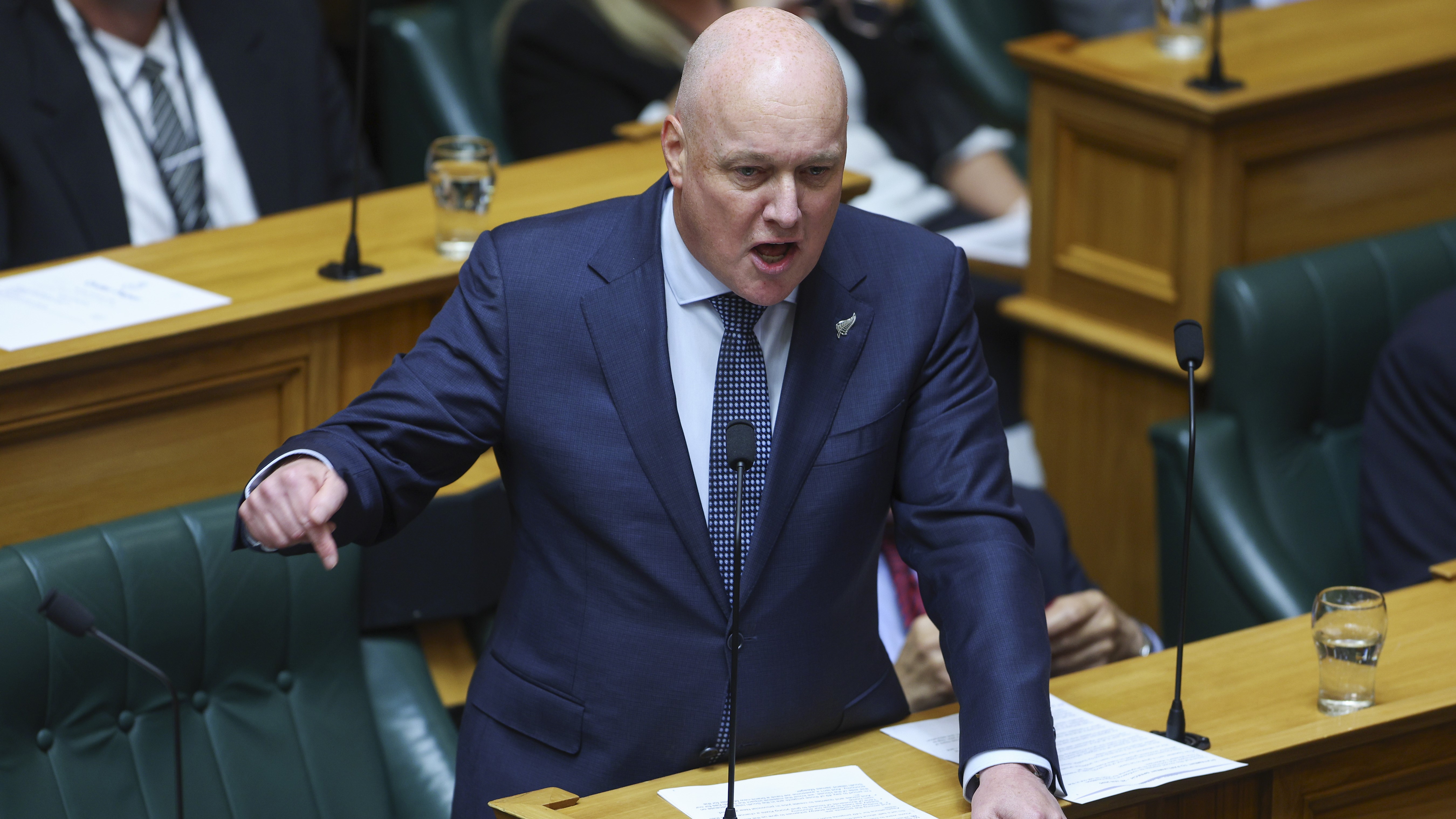 National Party leader Christopher Luxon.