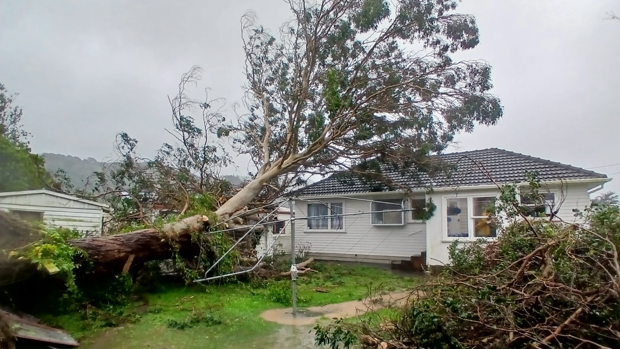 A tree fallen on property in Wainuiomata, Lower Hutt 