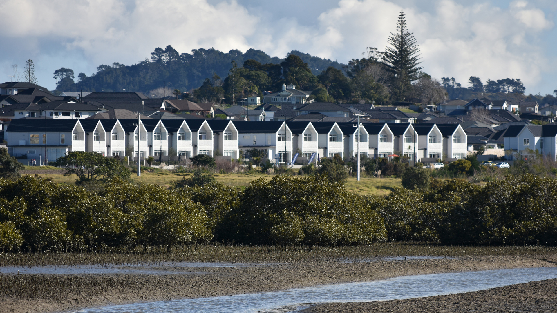 Houses in Auckland (file picture).