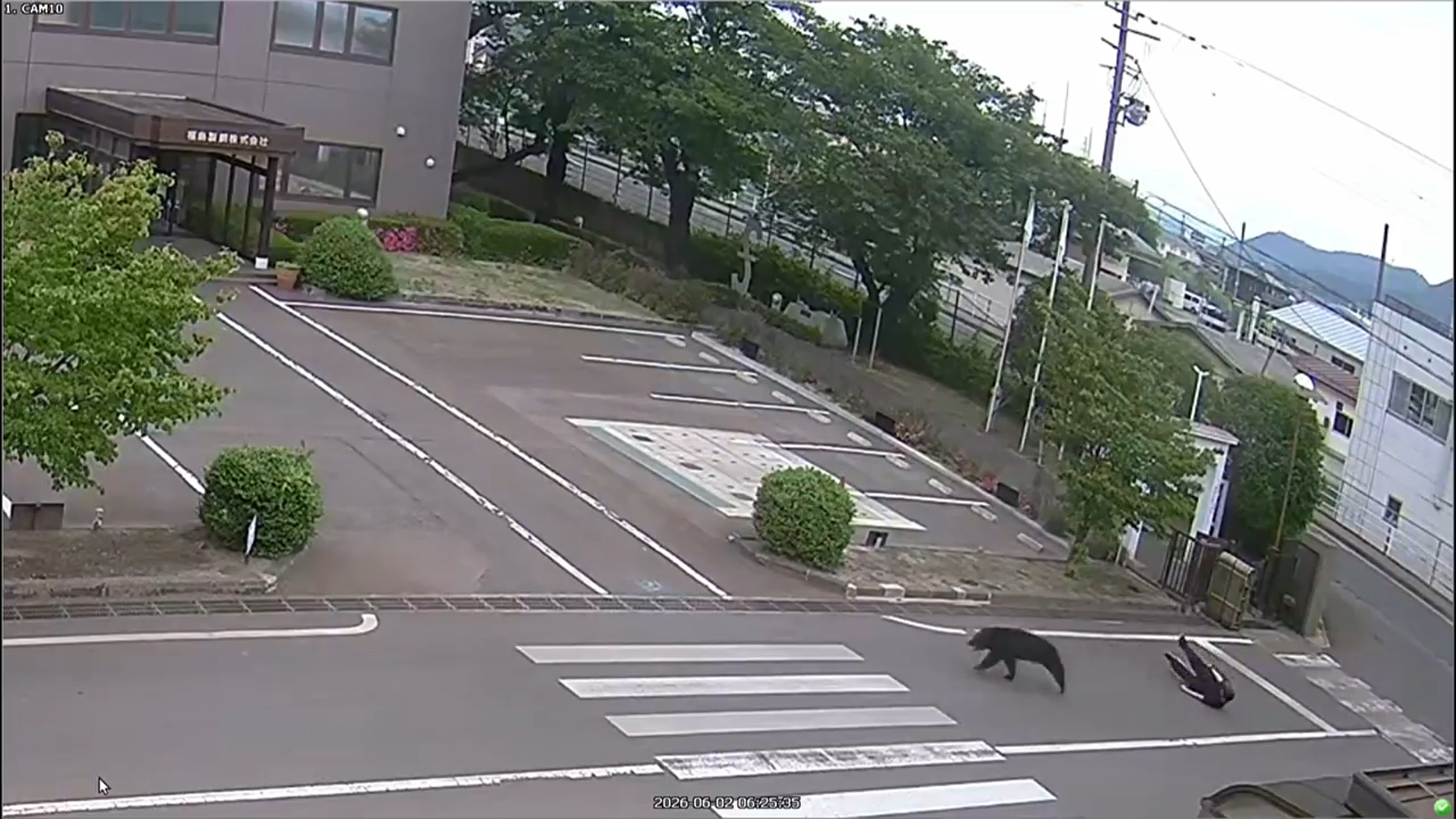 This image made from the security camera footage provided by the Fukushima Steel Works, shows a bear, center, running after attacking a person, right, on its premises in Fukushima.