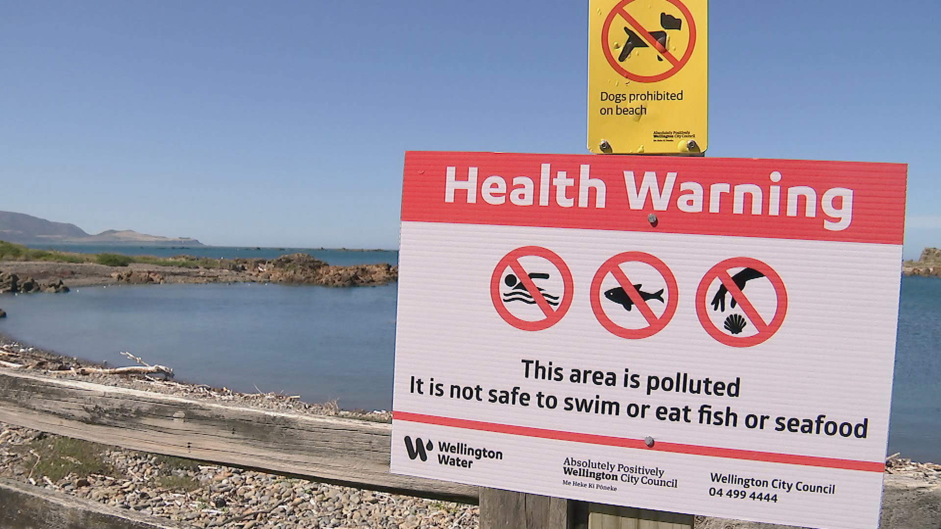 Wellington businesses affected by the Moa Point wastewater treatment plant failure can now apply for one-off grants of up to $35,000.