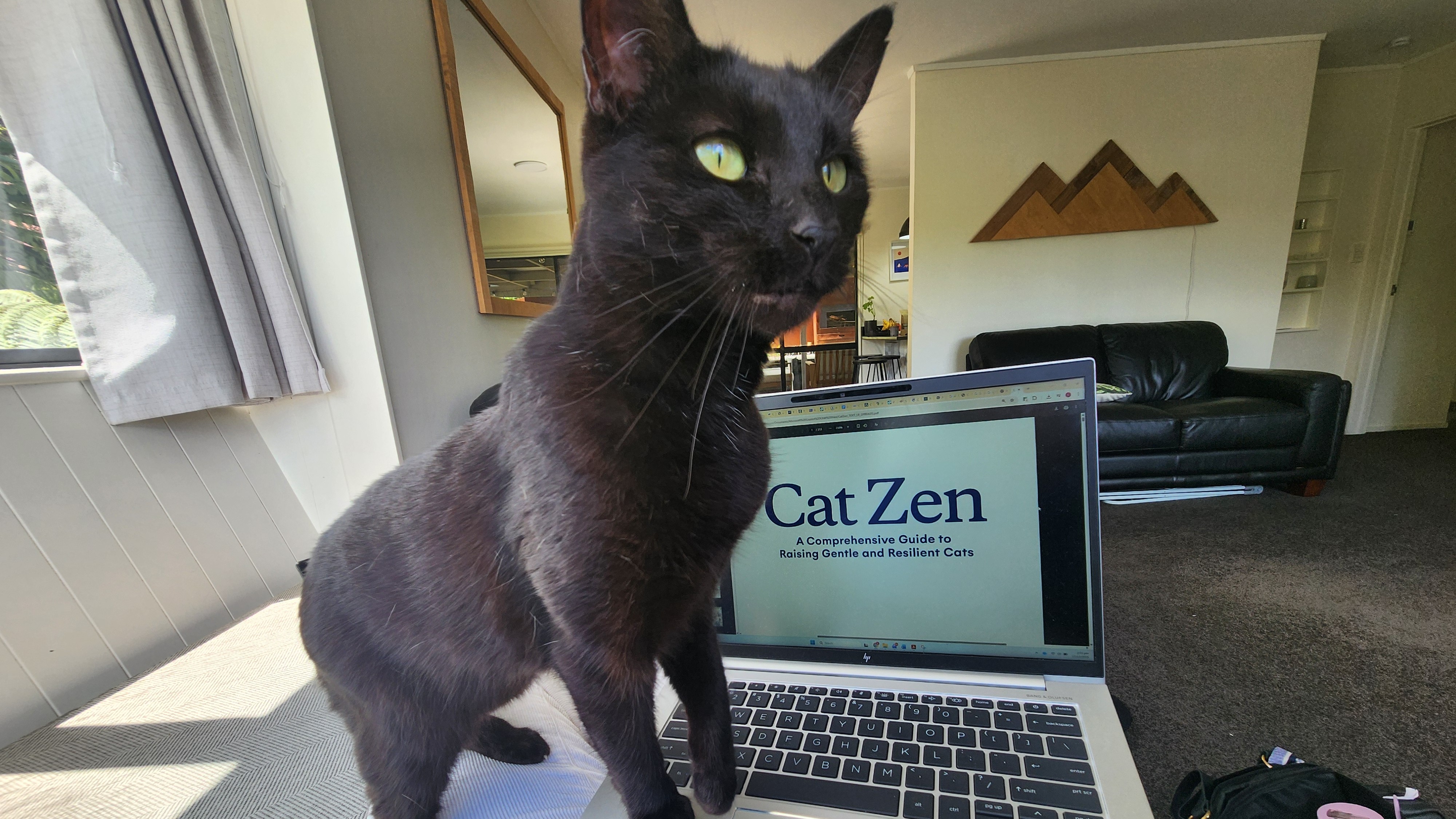Emma Hildesley's cat, Tuna, helping write this article. 