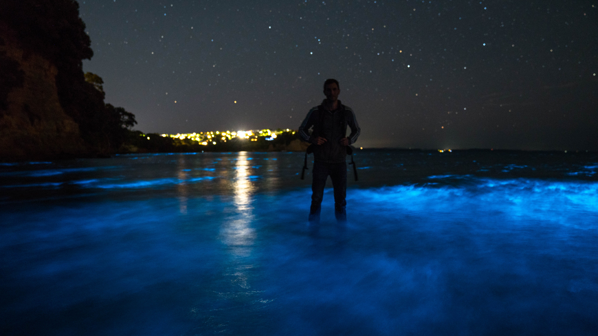 naked eye bioluminescent display pic