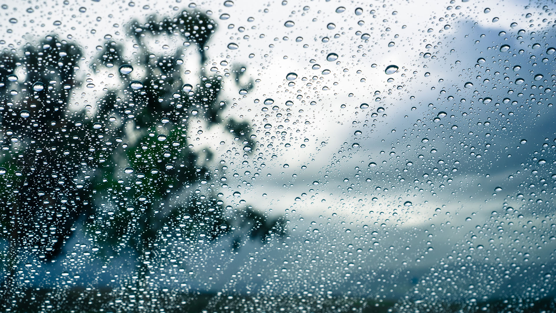 Heavy rain watches were issued for the Westland ranges until 8am Monday, and Fiordland north of Doubtful Sound until 10pm Sunday. 