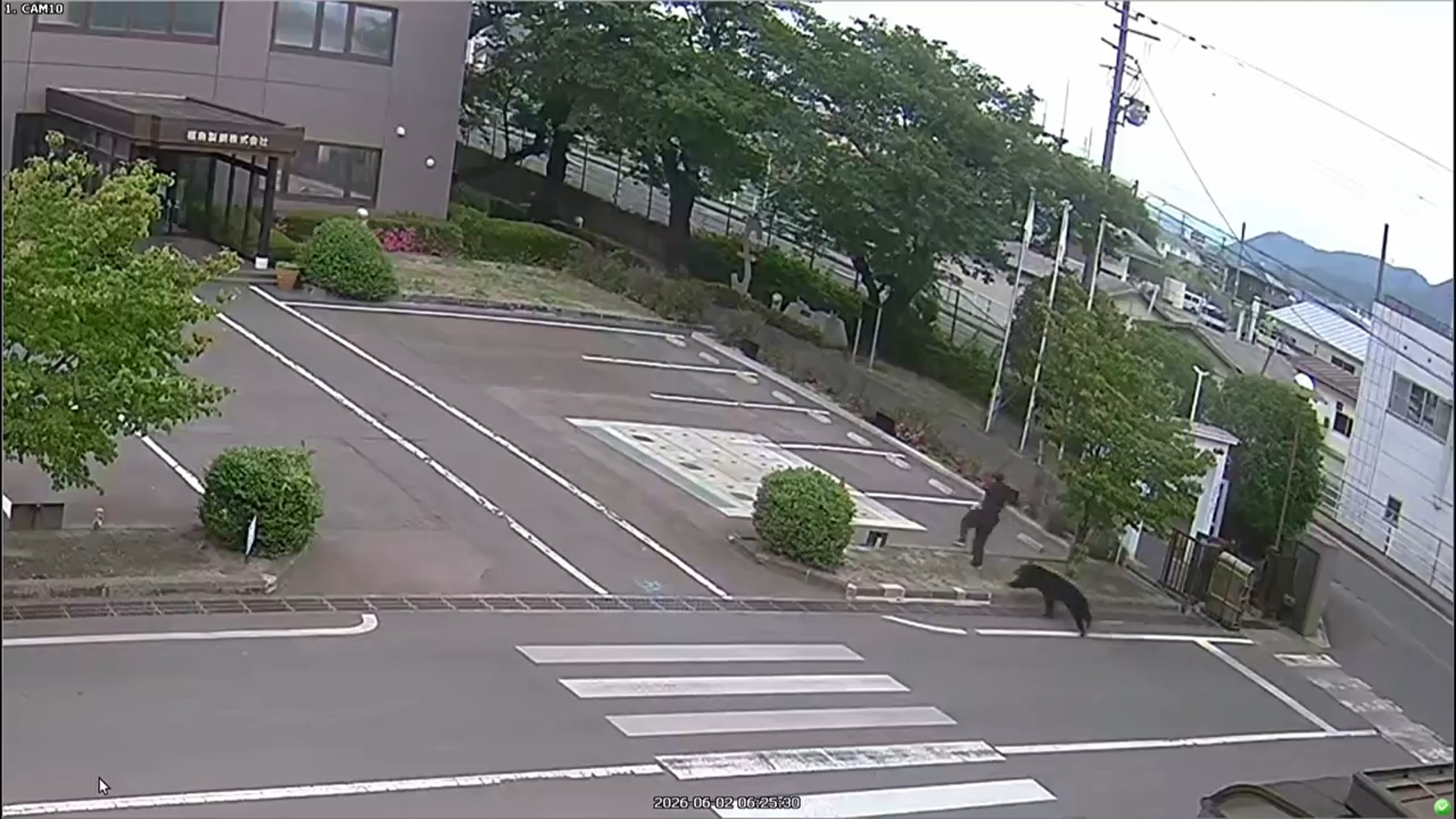 This image made from the security camera footage provided by the Fukushima Steel Works, shows a bear, right, chasing a person, second right, on its premises in Fukushima.