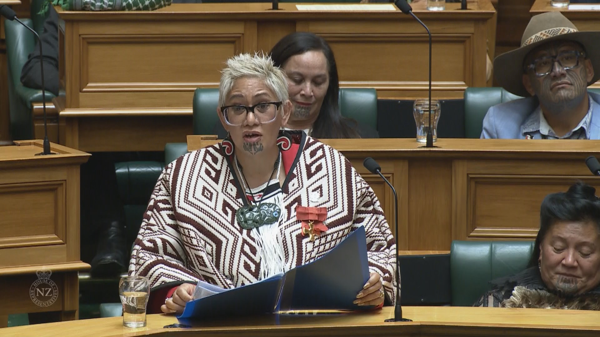 Te Pāti Māori MP Takutai Tarsh Kemp speaks in Parliament.