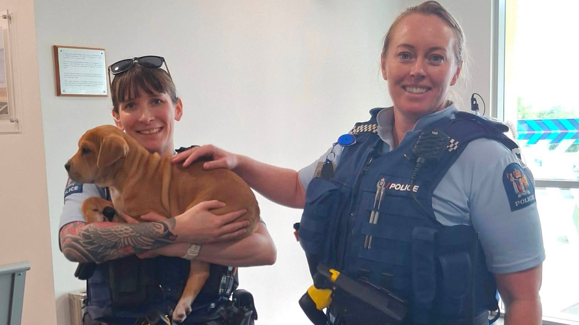 Pebbles, a three-month-old Shar Pei mix, with two police officers. (Source: South Auckland Animal Rescue)