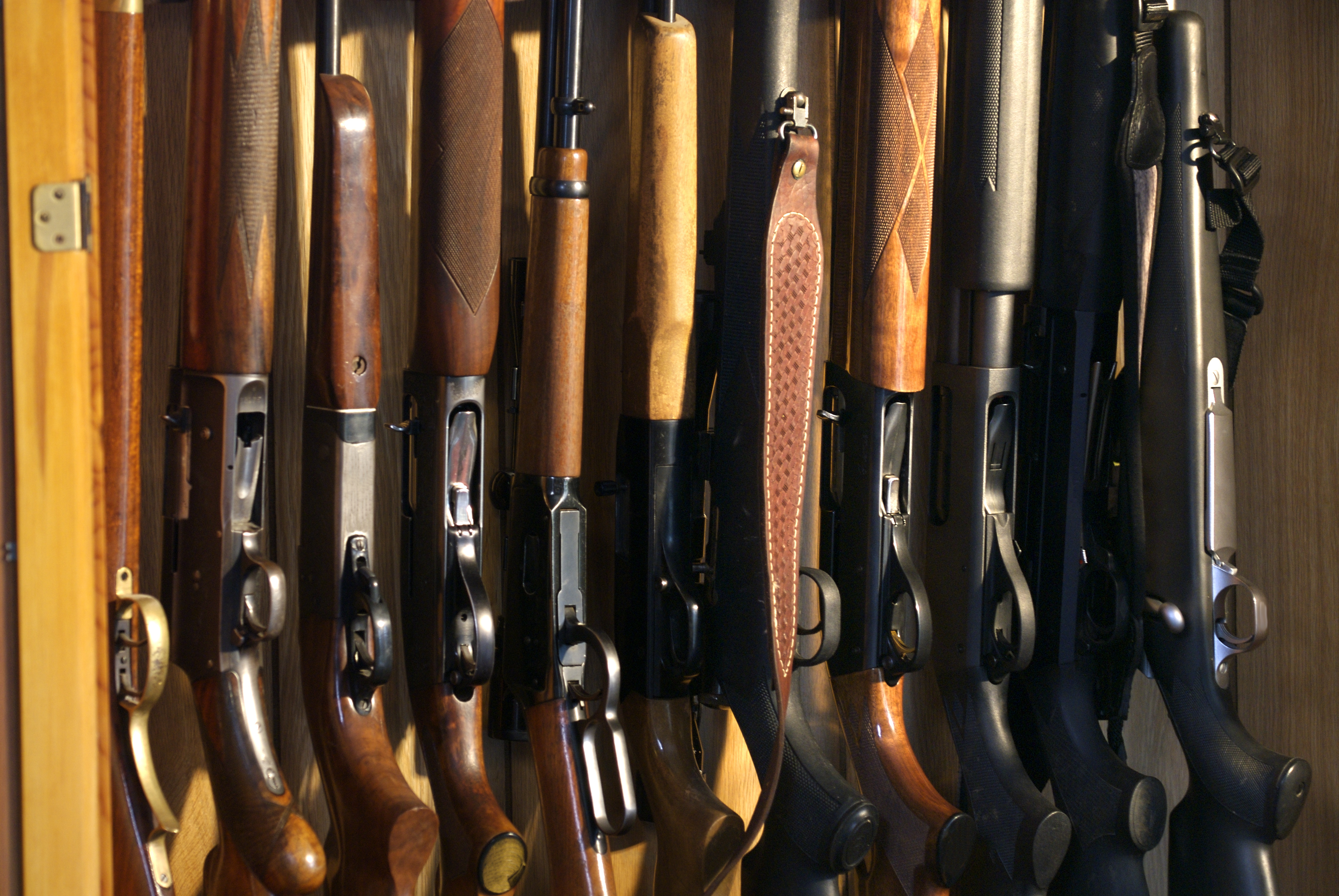Many have identified a spike in gun-related crimes, with the new register intended to help police track them.