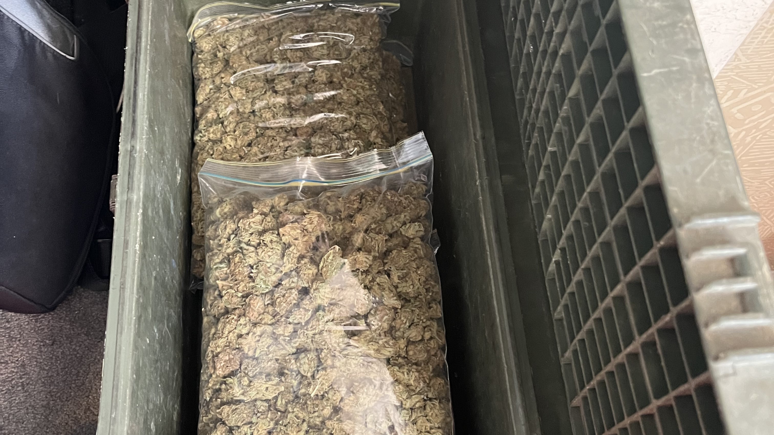 2.7kg of cannabis was seized during police raids on gang premises across the North Island today.