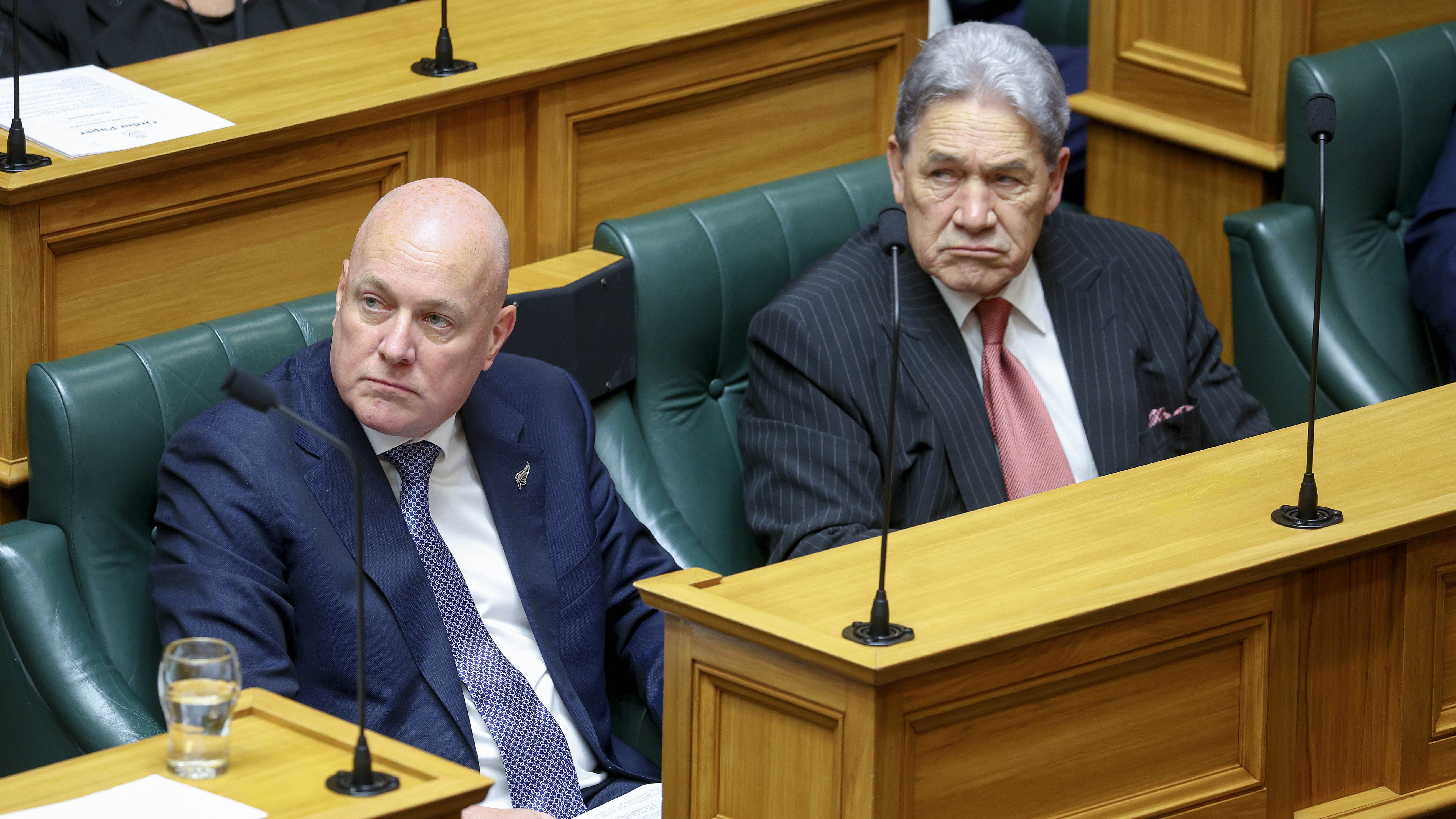 The English Language Bill to make English an official language was part of the coalition agreement between National and NZ First. File photo.