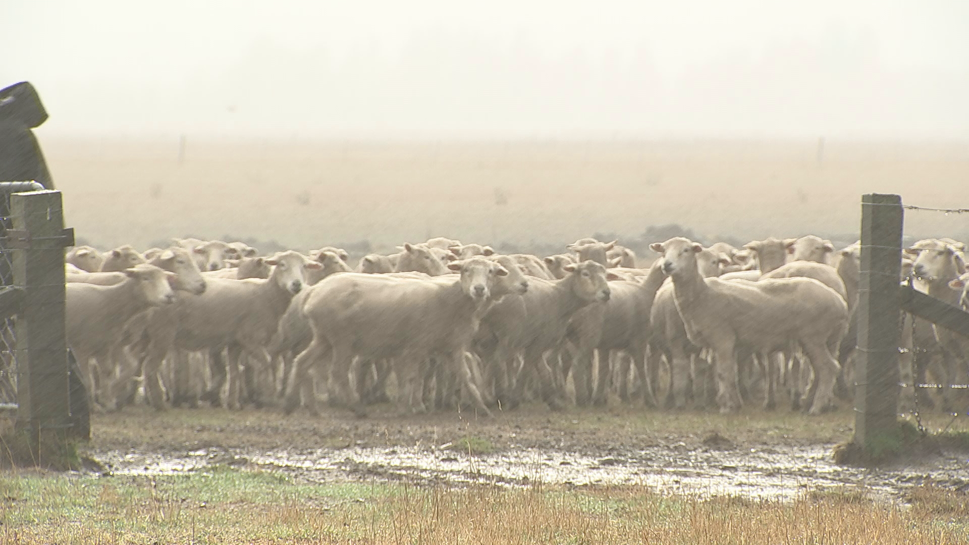 Canterbury has officially recorded its driest May on record - just 5.8mm of rain falling throughout the month.