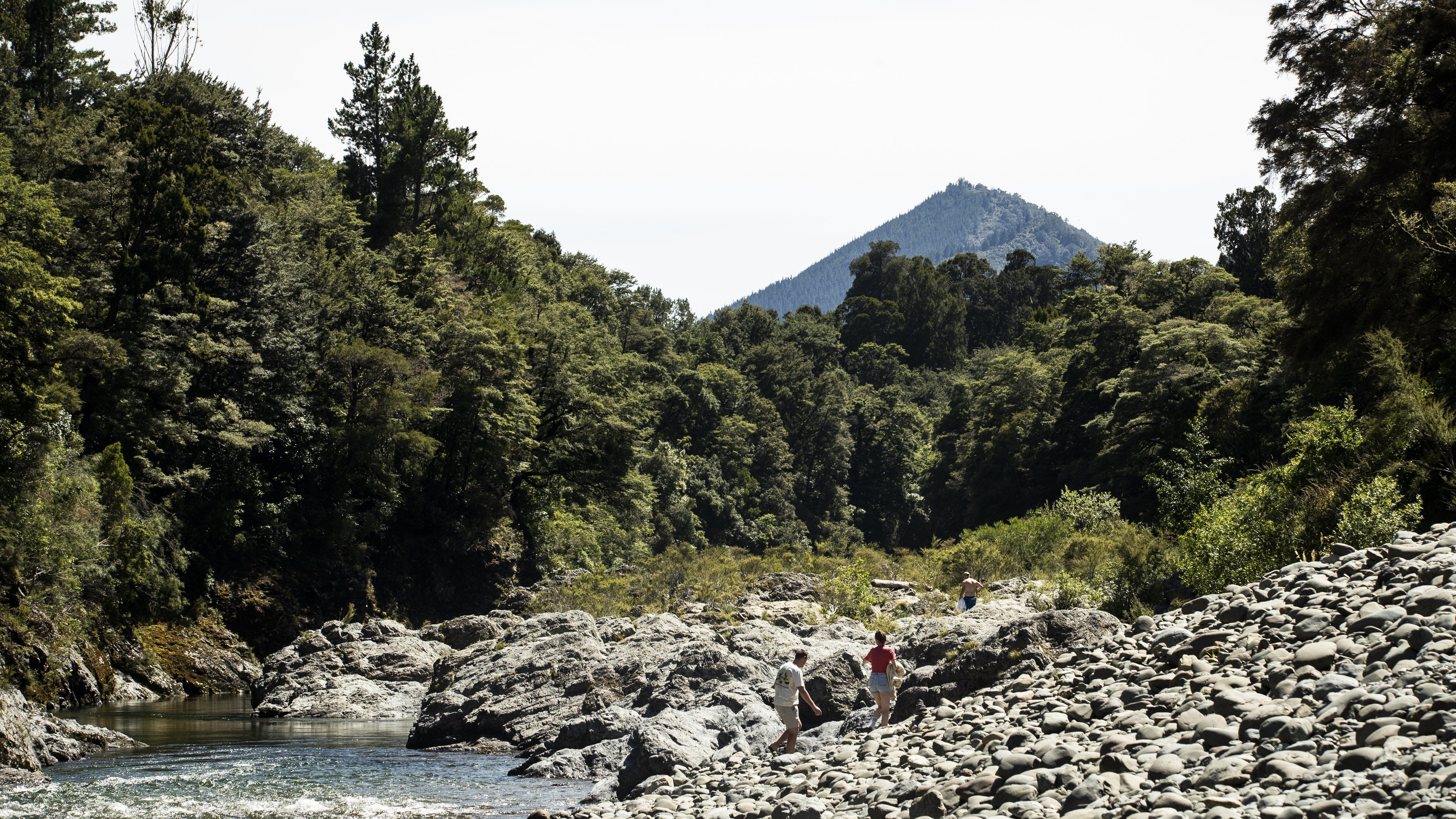 The Pelorus Bridge Scenic Reserve could be potentially sold off under the Conservation Amendment Bill.