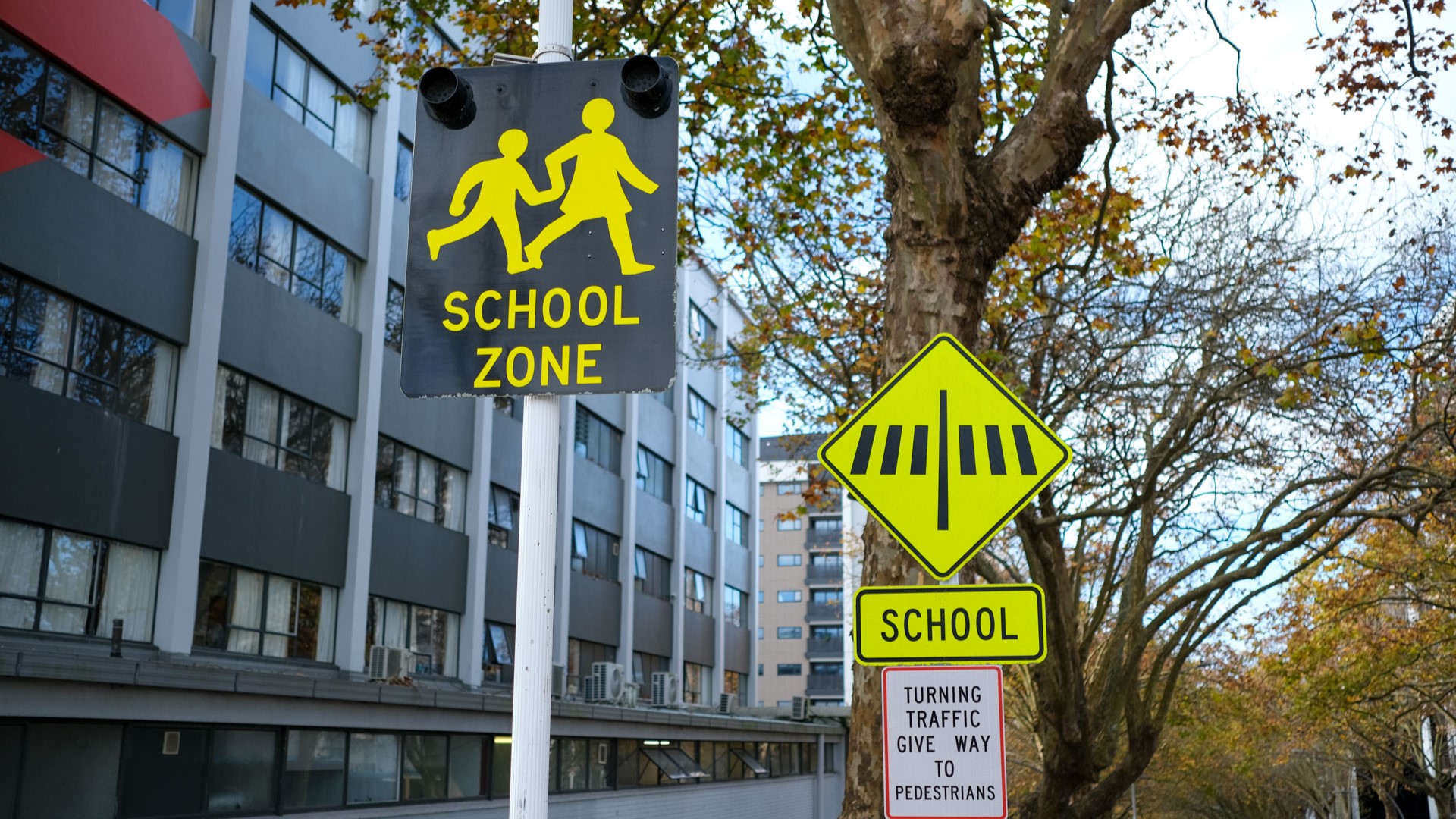 A school zone sign in pictured New Zealand. File photo.