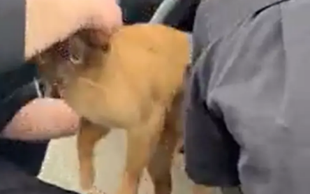 Norton at the moment of rescue.