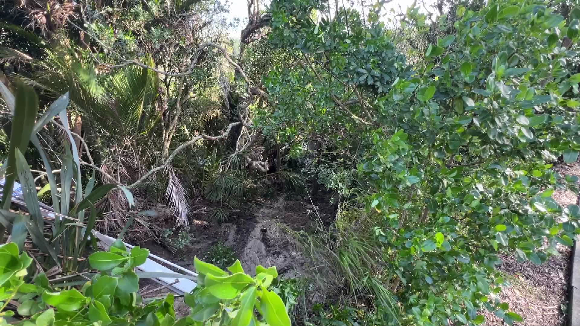 A slip at Auckland's Muriwai prompted evacuations.