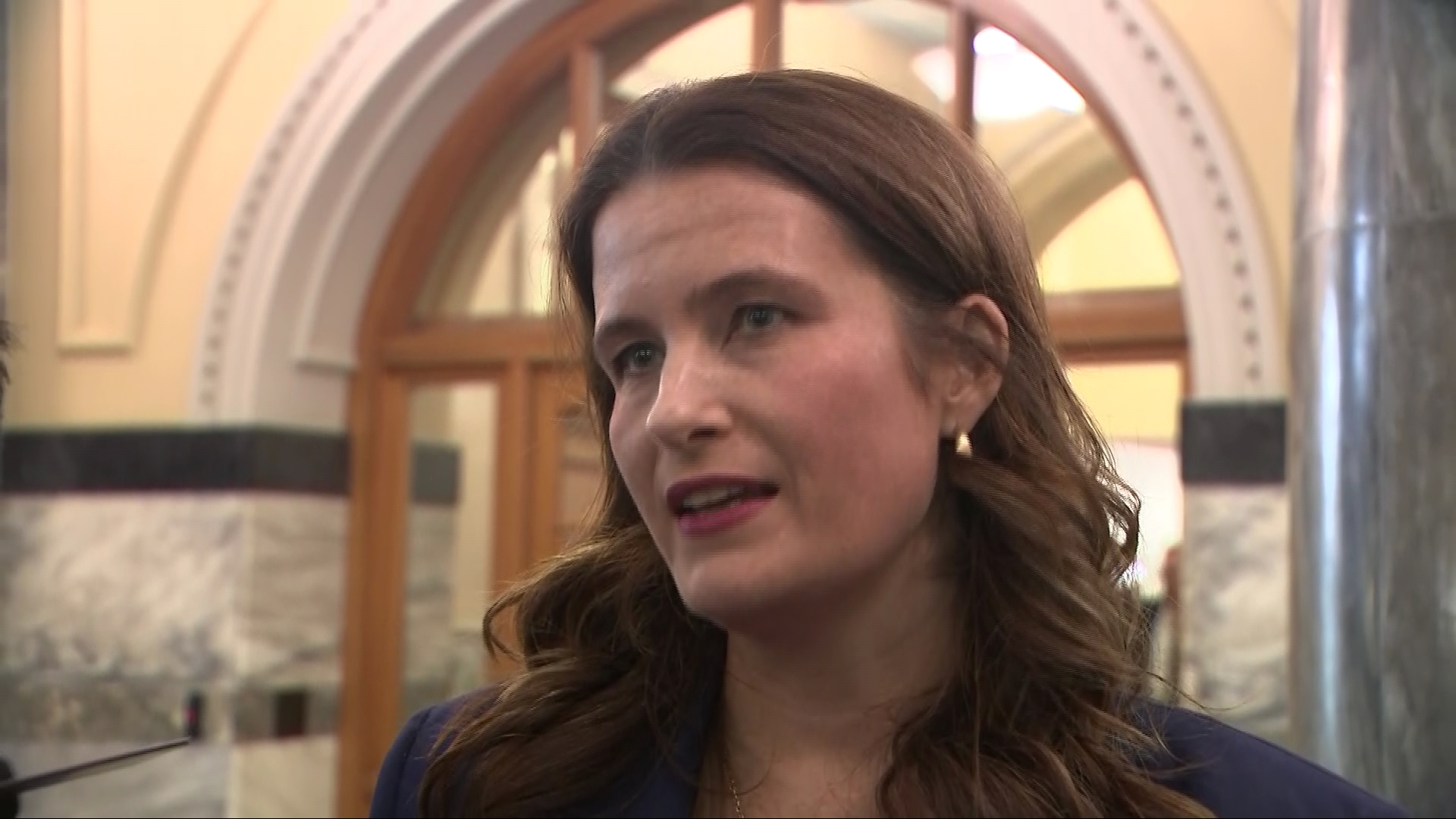 Nicola Willis speaks to media at Parliament on May 6.