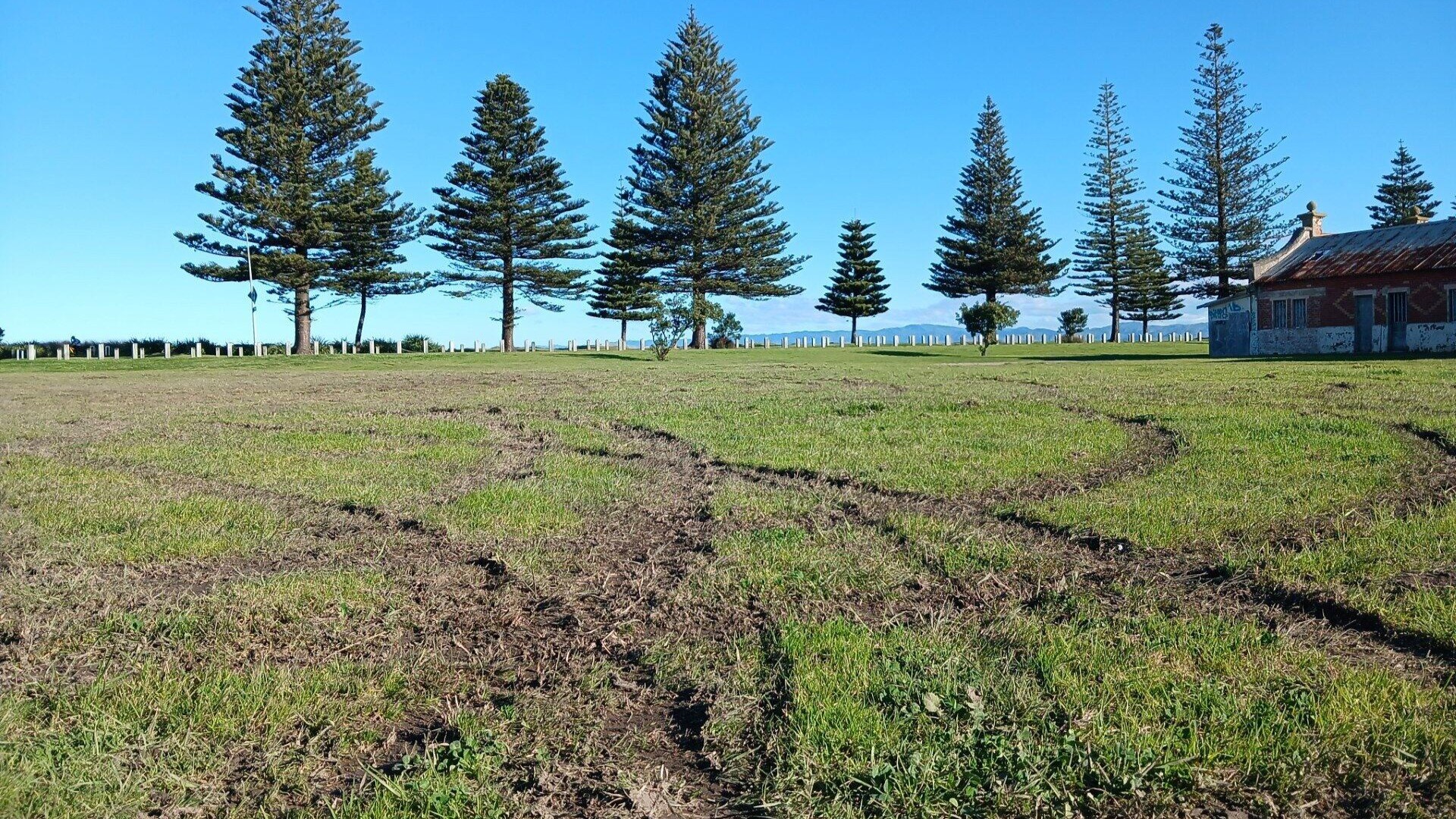 Damage at Churchill Park in Gisborne from cars. 