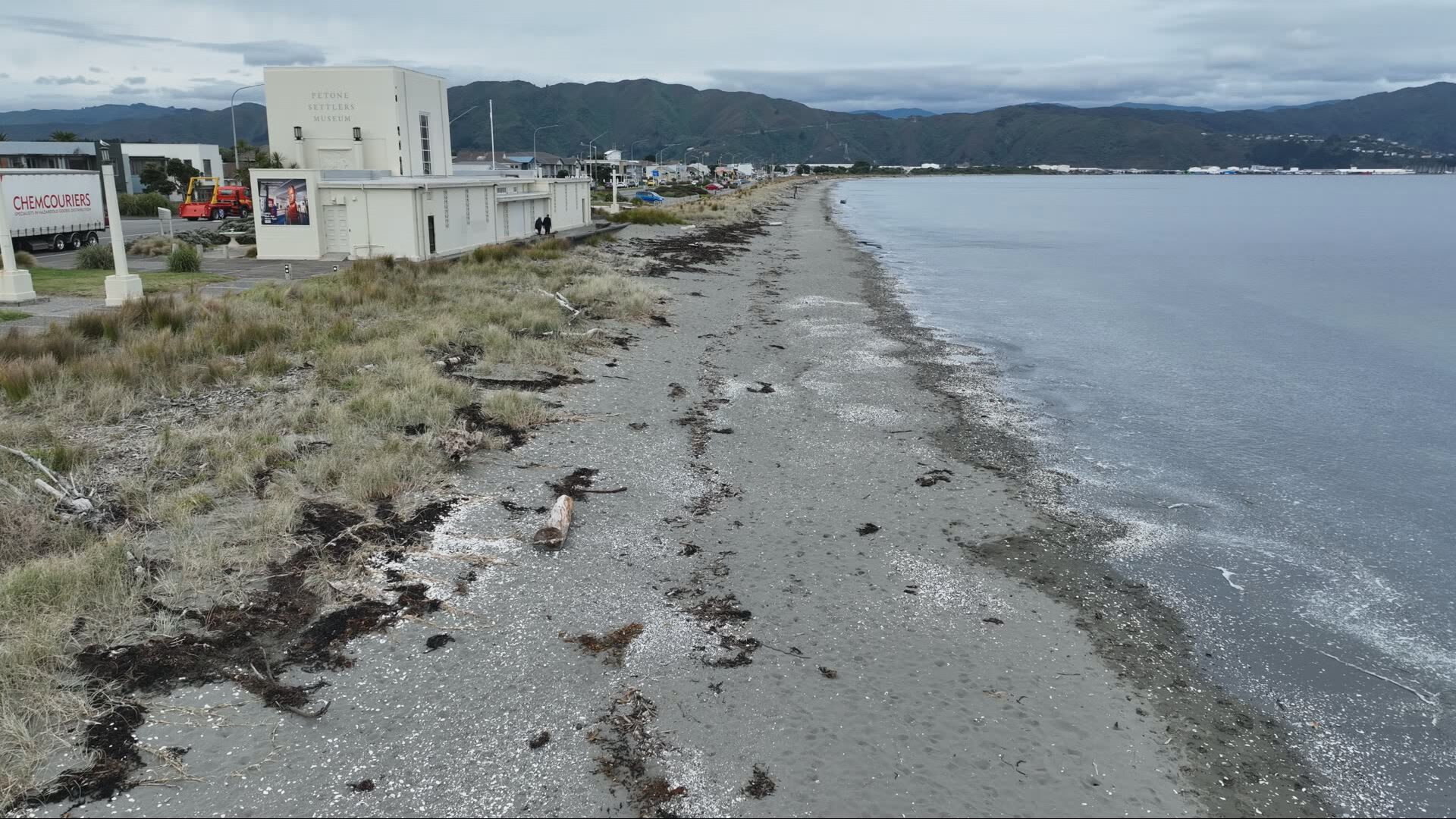 Petone Beach on July 15.
