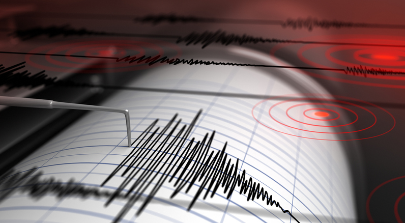 File picture of a seismograph.
