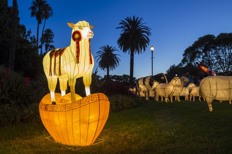 Auckland’s Lantern Festival cancelled for third year running