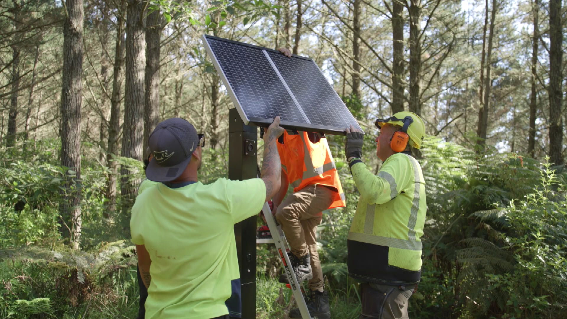 Solar-powered sensors across the Waitangi Endowment Forest can detect smoke signatures before a fire is visible.